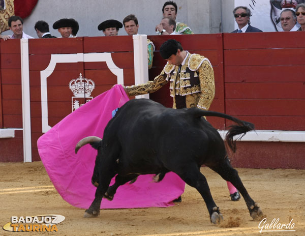 Recibo capotero de Enrique Ponce al toro inaugural.