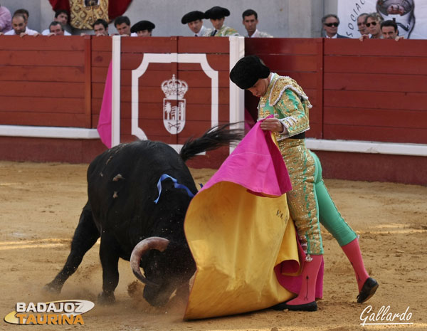 El Juli saludando a Ferretero, el toro indultado.