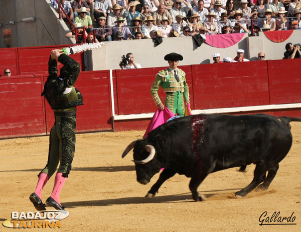 Par de banderillas de Niño de Leganés al toro indultado.
