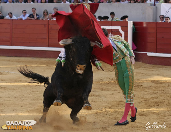 Inicio de faena de muleta por alto.