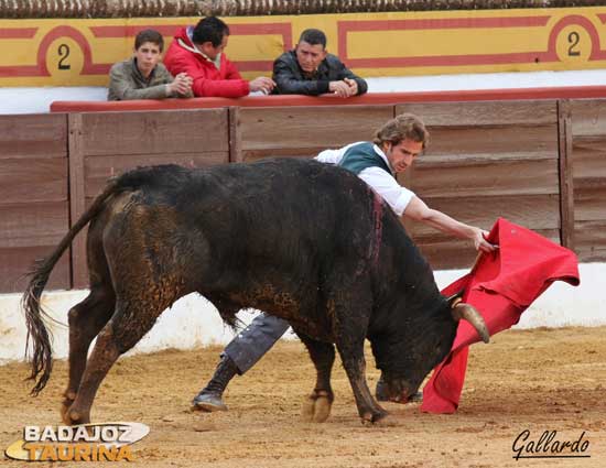 Julio pasando de muleta a uno de los toros que ha lidiado a puerta cerrada.