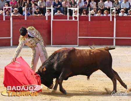 Tirando con la diestra de la embestida del animal.