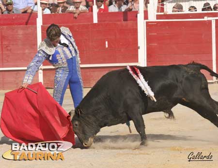 Encajadito de riñones en el toreo en redondo.