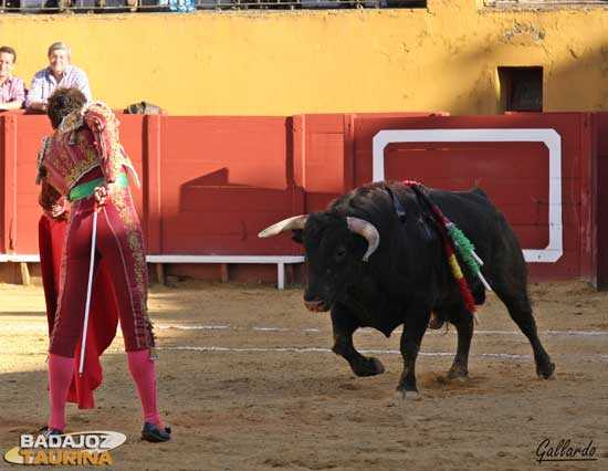 Citando para empezar la tanda de naturales.