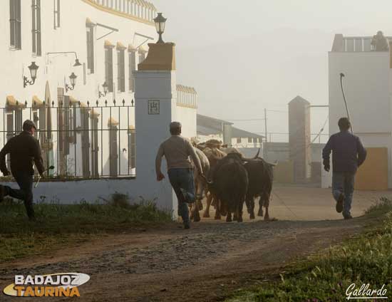 ...levantando una polvareda para pasar por el cortijo...