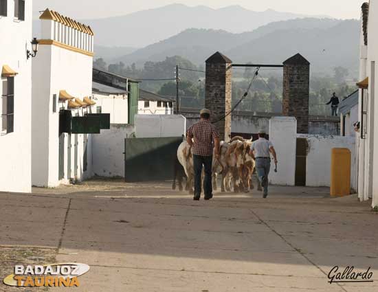 Camino de las corraletas con los cerros por testigo.