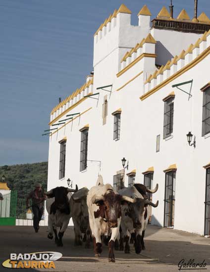 Desde otra perspectiva se aprecia la bajada a las corraletas.