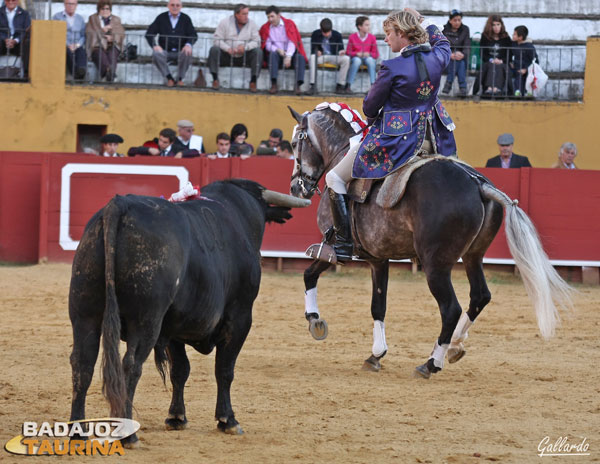 Adorno para que el toro se fije en el caballo.