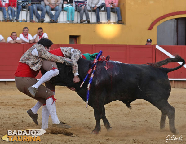 La pega al tercer ejemplar de Arucci...