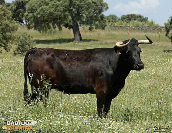 'Guapilla' es otra de esas madres de nota.