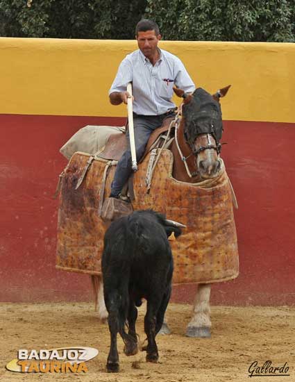 Fijeza en la arrancada al caballo de picar.