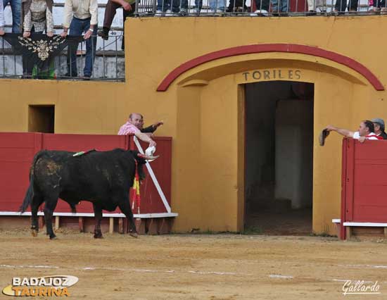 Gobernante vuelve al campo entre cante.