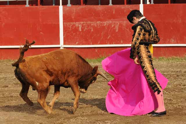 Luis Miguel Naharro abriéndose de capote.