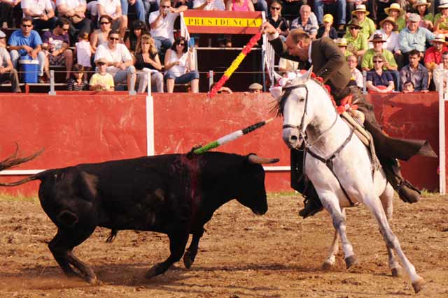 Juan Carlos Jiménez banderilleando a su novillo.