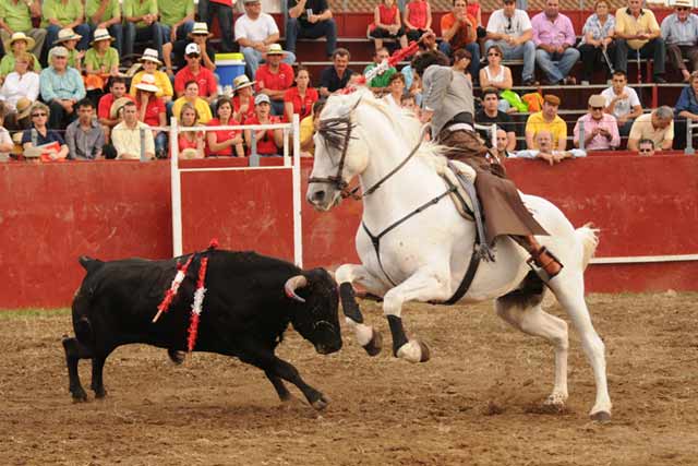 Pablo Ramos marcando los tiempos para clavar.