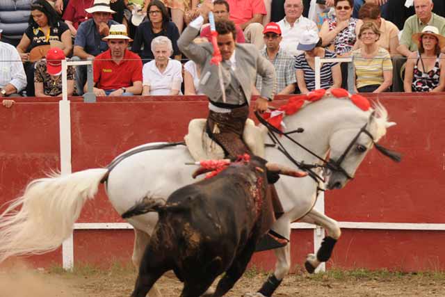 El segedano a punto de clavar el de muerte.