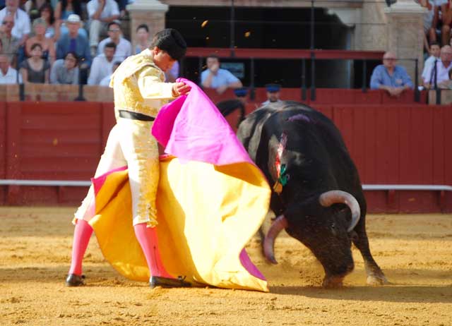 Rafael lanceando a la verónica en tierra de vuelo de capotes. (FOTO: J.A. Cantero)