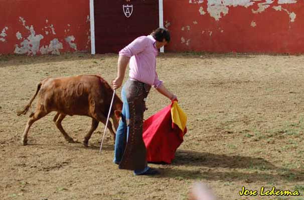 Siempre con el hocico por el suelo.