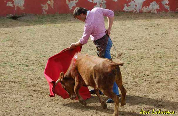 Una vaca sensacional muy bien lidiada por Martín.