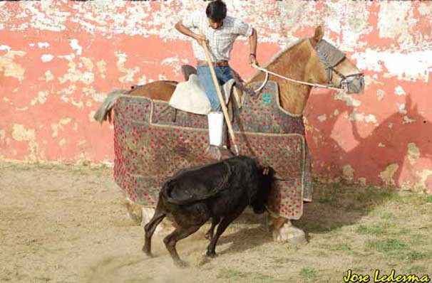 José agarrándose en lo alto. (FOTO: Ledesma)