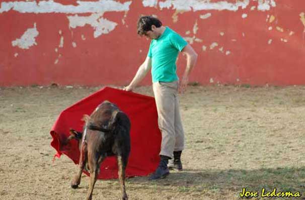 Chechu muy firme de planta ante su vaca.