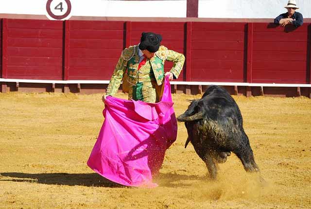 Ajustada chicuelina para quitar al novillo.