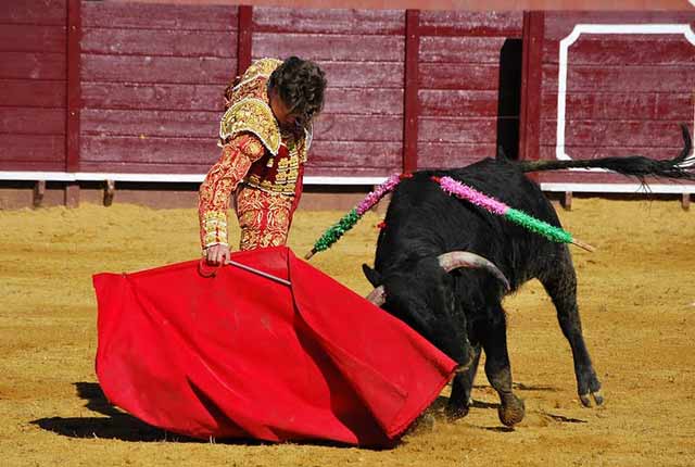 Muy encajado y firme durante toda la tarde.