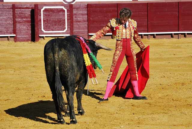 Dejándose ver para colocarse en el sitio.