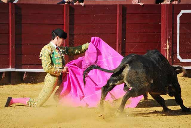 Aunque este saludo genuflexo es más torero.