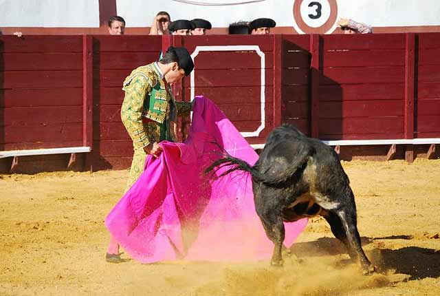 Tomás Campos maneja perfectamente el capote.