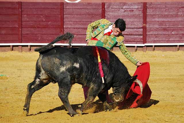 Con la muleta también anda muy bien.