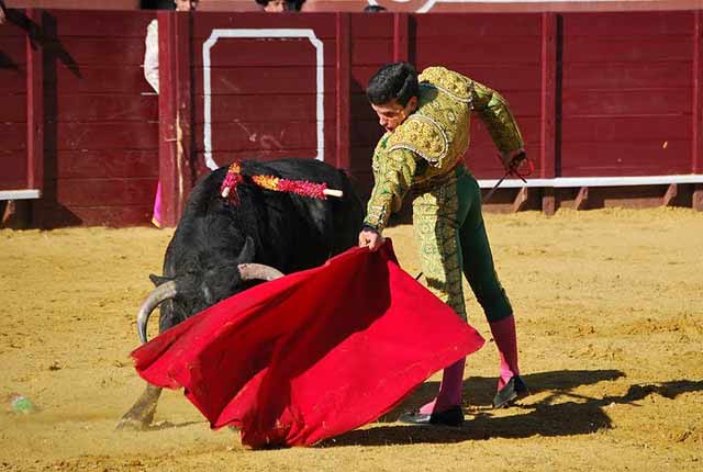 Que remataba hasta el final del eje del brazo.