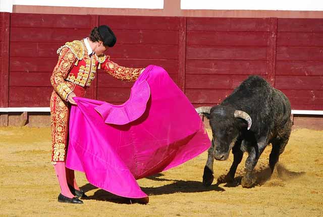 Vistoso quite por tafalleras de Tomás Angulo.