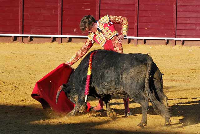 También con la diestra estuvo muy en torero.