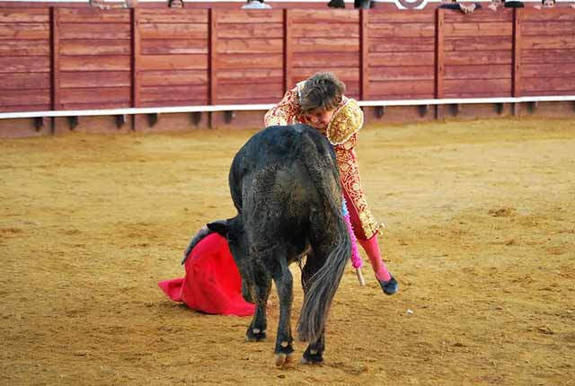 Estocada que bien vale un premio.