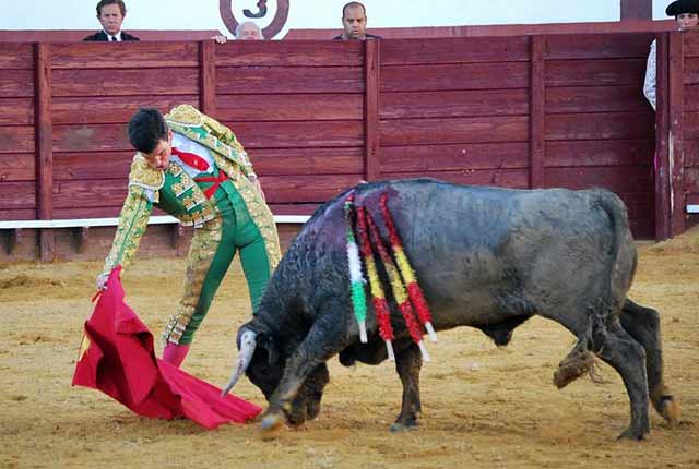 Sometiendo al novillo por bajo, como los clásicos.