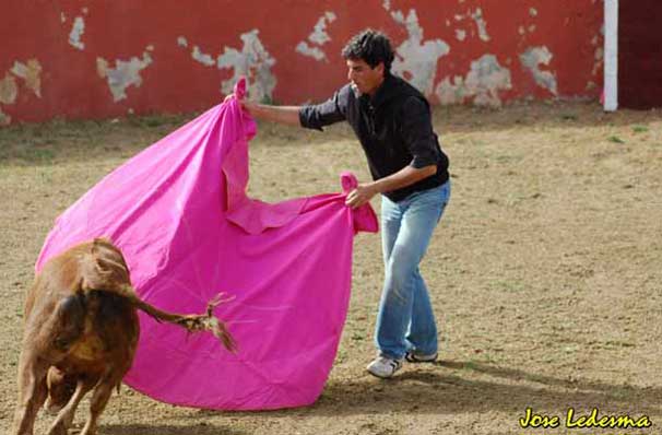 Fernando González auxilió a los matadores con el capote.