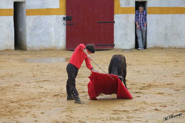 Luis Domínguez adornando el final de una serie.