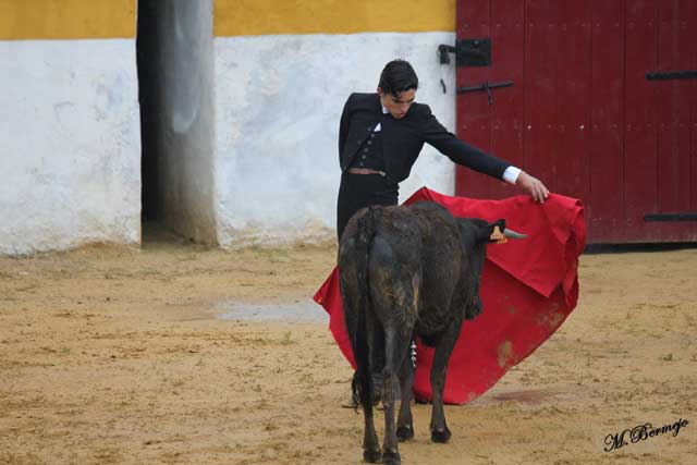 Luis Manuel Terrón citando para bernadinas.