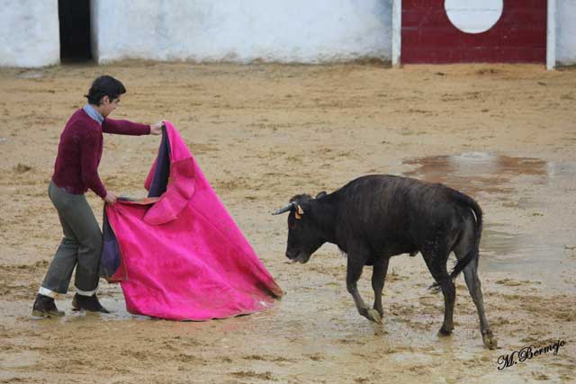Luis Miguel Naharro a la verónica en el barro.