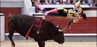 Momento angustioso de Perera en Madrid. (FOTO: Juan Pelegrín)