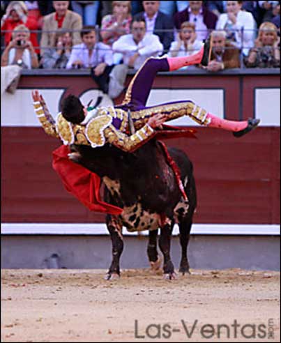 Talavante volteado de manera fea en Las Ventas. (FOTO:Juan Pelegrín)