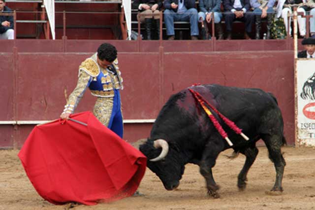 Gusto en el muletazo, sentido y sincero...