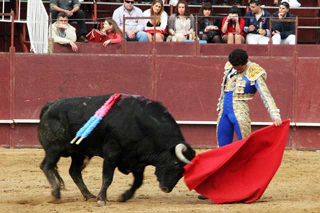 ...para llevarlo cosido a la muleta.