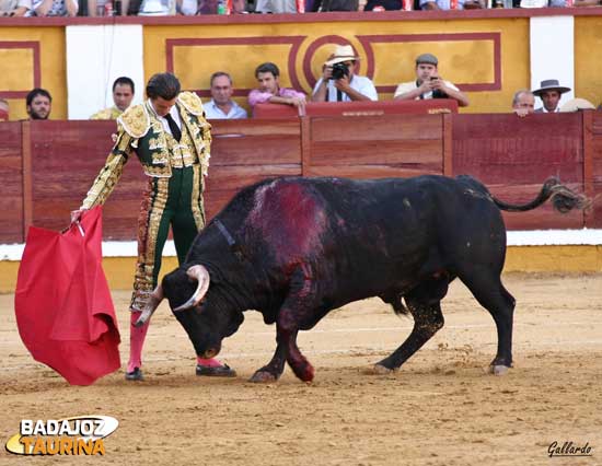 Tauromaquia mayestática de Israel.