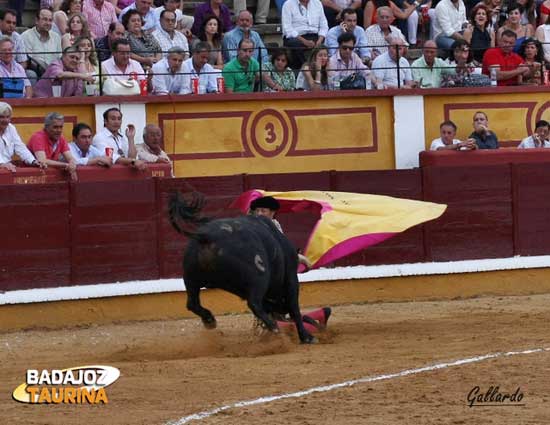 Y el toro le ve sin defensa posible con el capote.