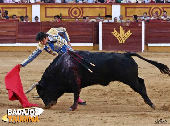 Alargando la embestida.