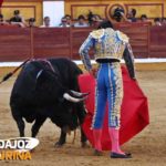 Perera en cercanías. (FOTO:Gallardo)