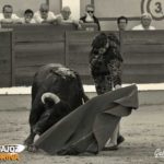 Todos pendientes del natural de Morante. (FOTO:Gallardo)