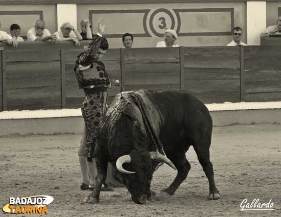 Media estocá...es suficiente con el medio toro.